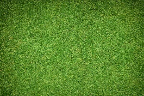 GREEN GRASS
